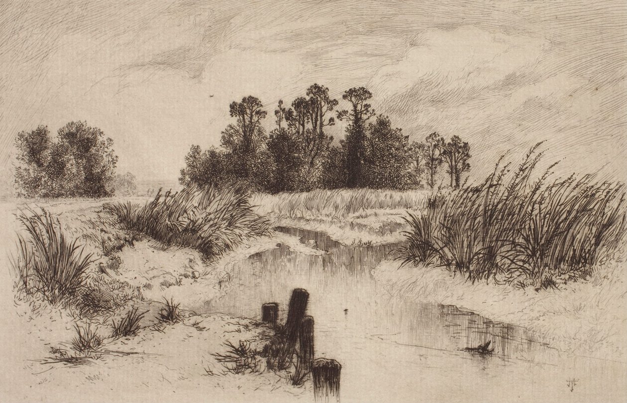 Bagienny krajobraz ze strumieniem autorstwa Thomas Moran