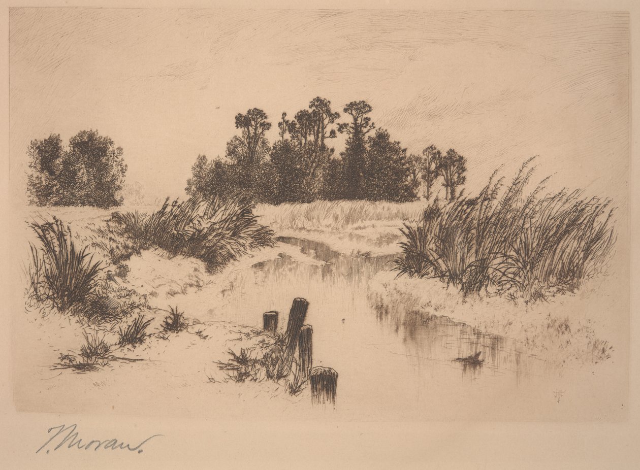 Łąki Passaic (Na Łąkach Newark) autorstwa Thomas Moran