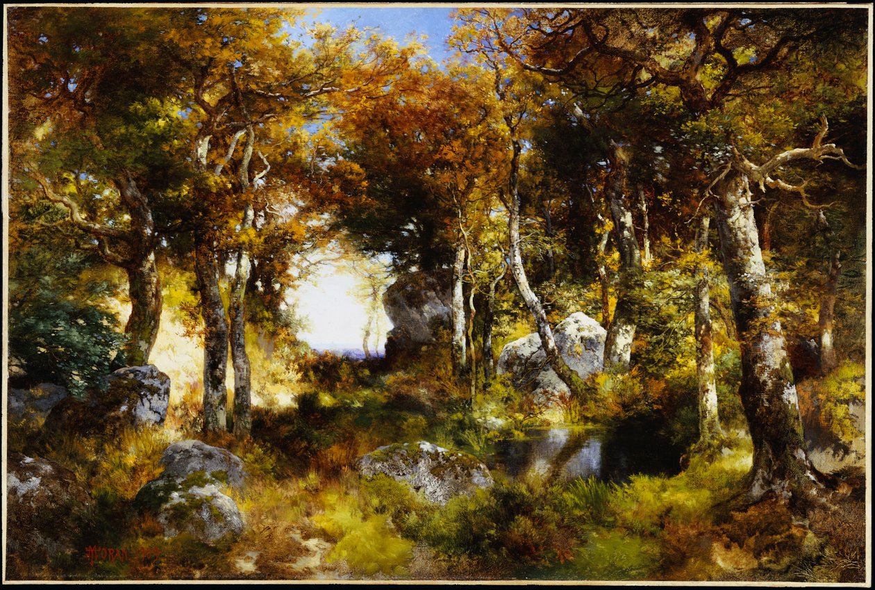 Basen leśny, 1909 autorstwa Thomas Moran