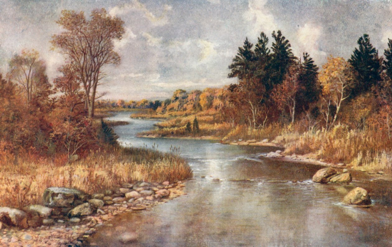W krainie łosi, w pobliżu jeziora Superior (kolorowa litografia) autorstwa Thomas Mower Martin