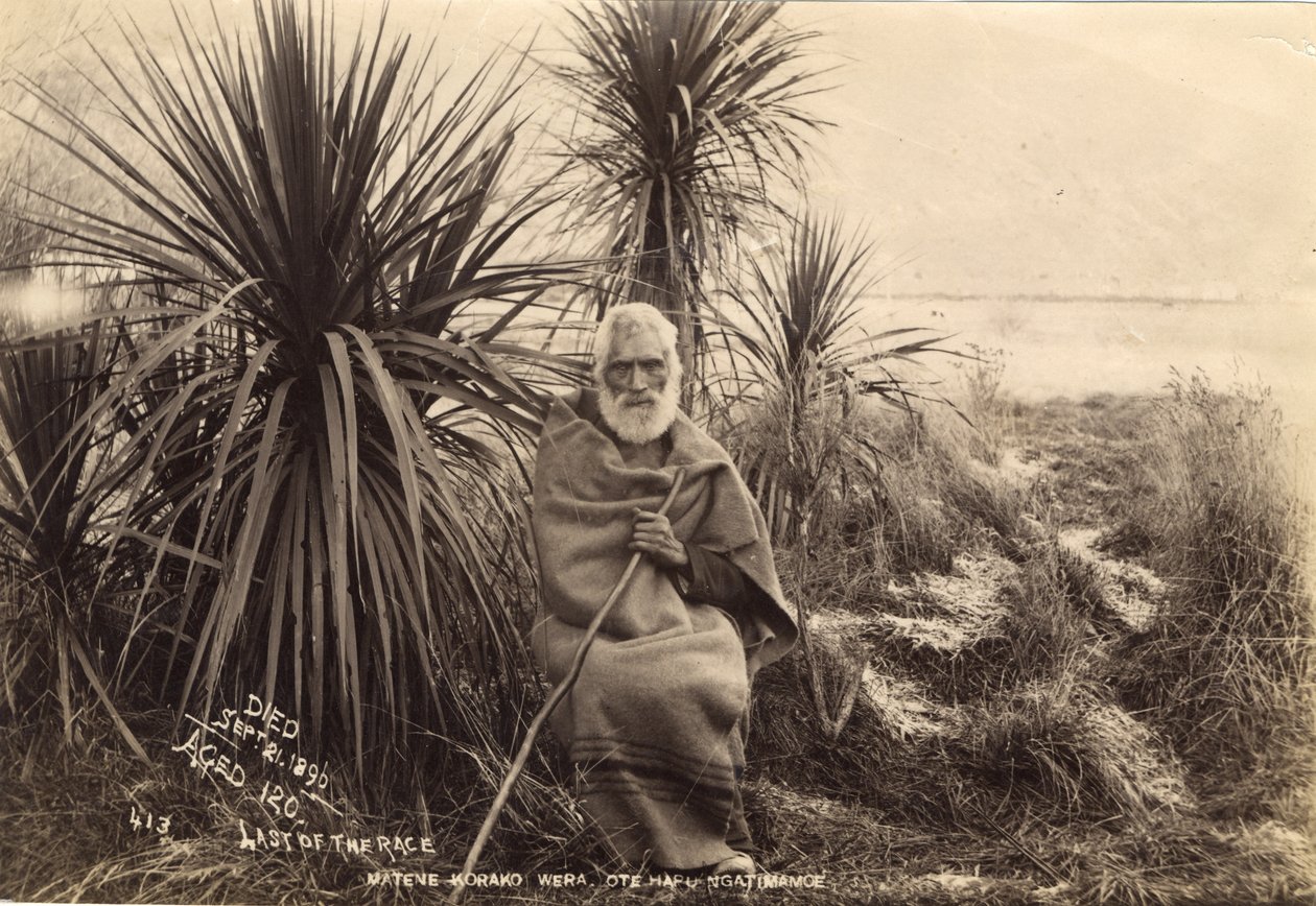 Ostatni z wyścigu Matene Korako Wera. Ote Hapu Ngatimamoe, c.1895 (druk albumowy) autorstwa Thomas Muir