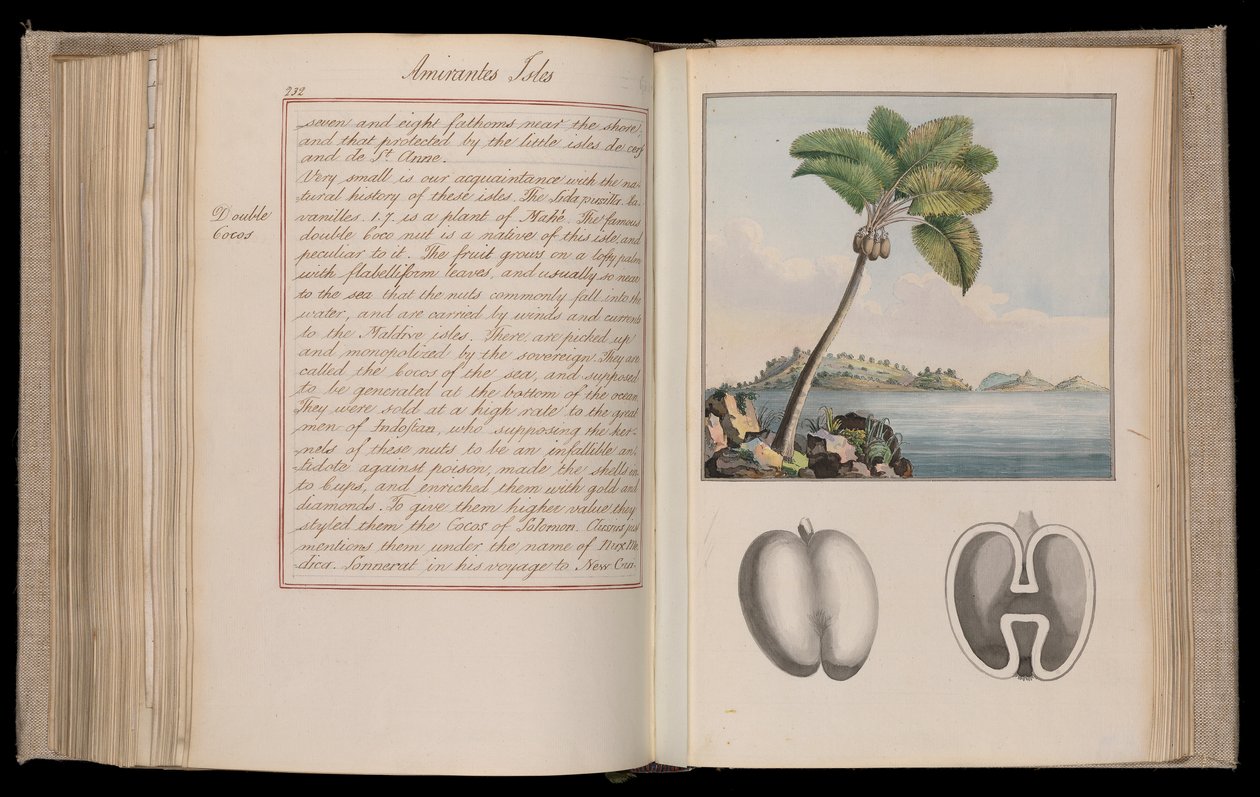 Afryka Etiopska. "Outlines of the Globe" lub "Imaginary World Tour" w dwudziestu trzech tomach - narracje, historia naturalna i szkice Thomasa Pennanta (1726-1798), przyrodnika, podróżnika i pisarza. autorstwa Thomas Pennant