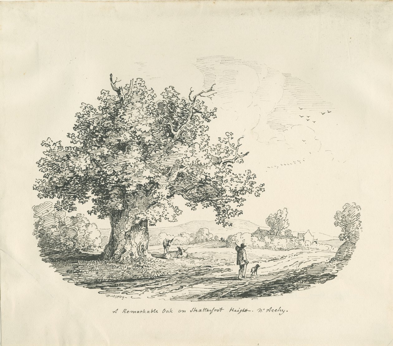 Arley - Wysokość Shatterfort: litografia , 1839 autorstwa Thomas Peploe Wood