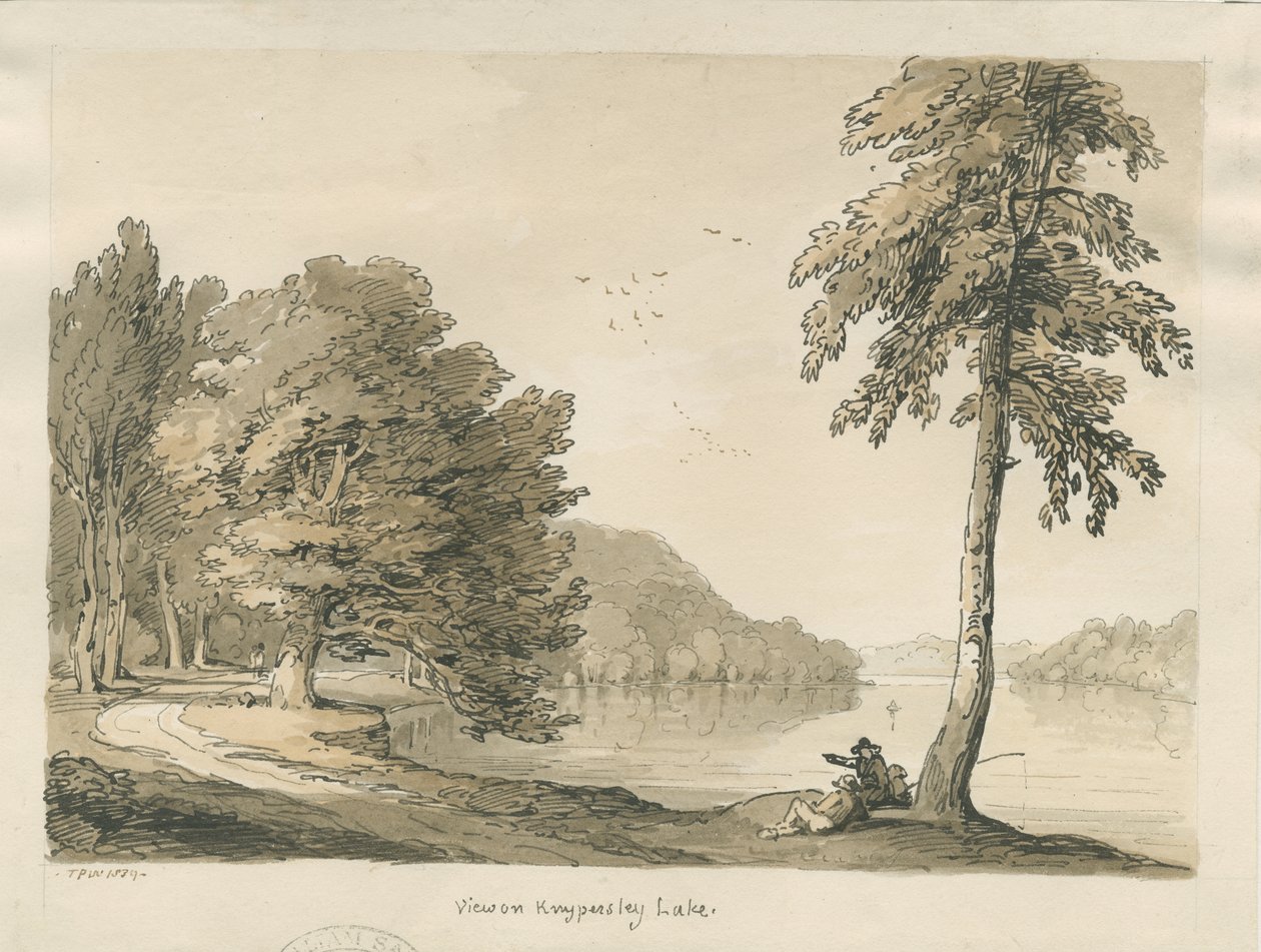 Biddulph Moor - Kamienie Oblubienicy: grawerowanie autorstwa Thomas Peploe Wood