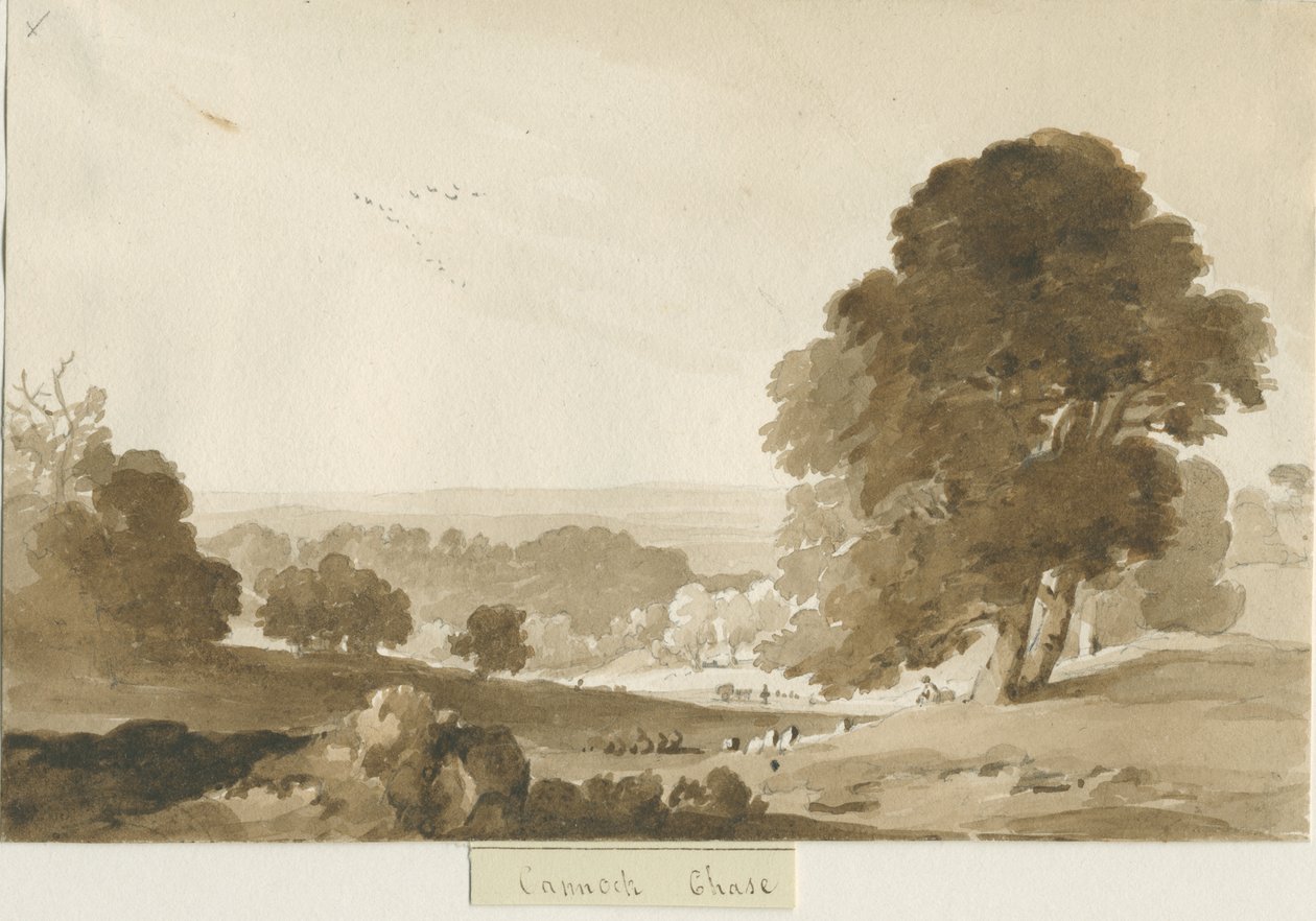 Cannock Chase: rysunek w odcieniu sepii, nd [?1839] autorstwa Thomas Peploe Wood