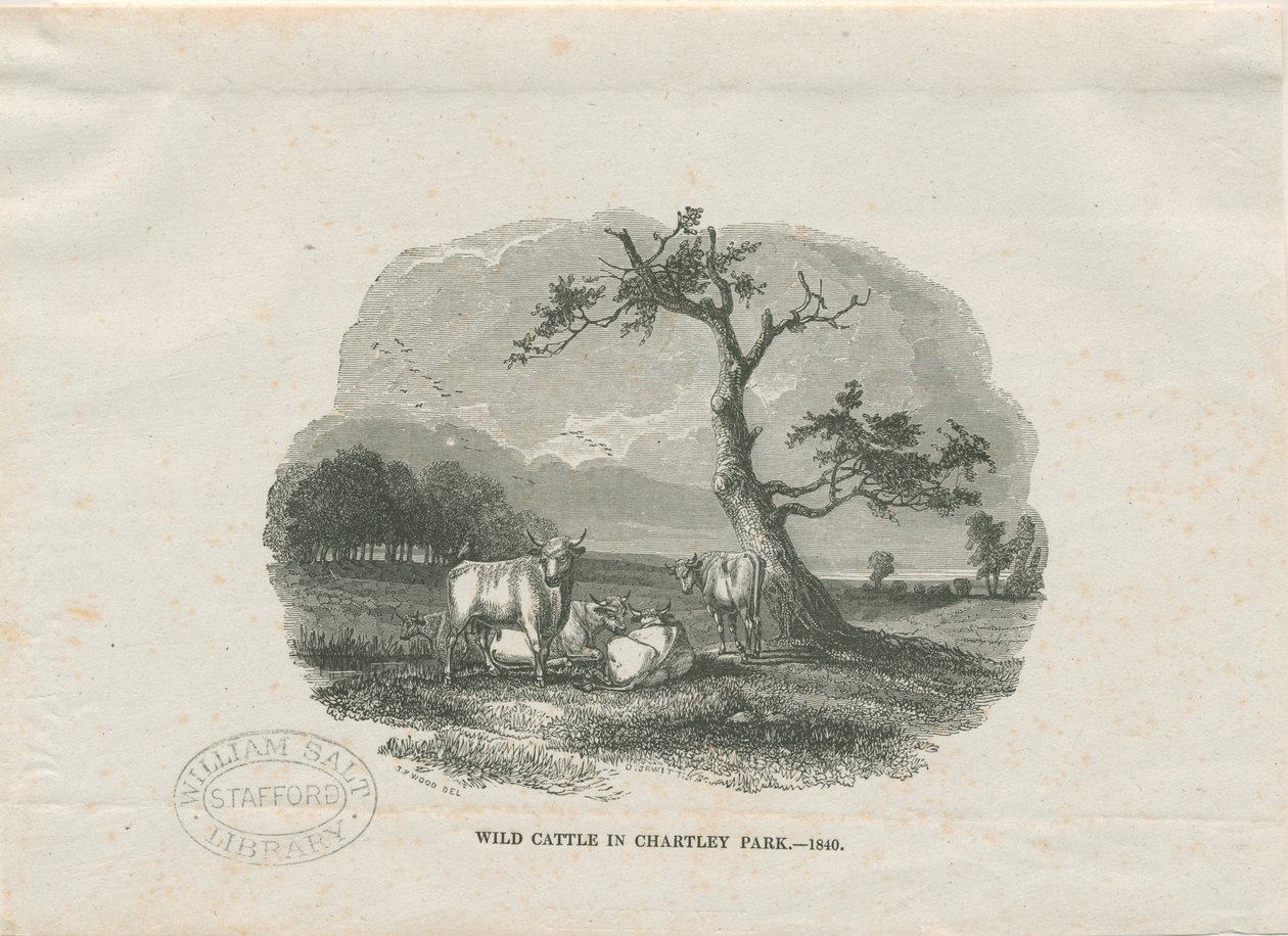 Chartley Hall - Park: drzeworyt grawerowany autorstwa Thomas Peploe Wood