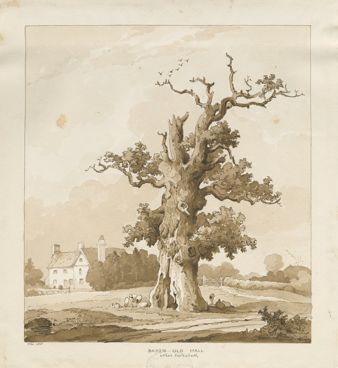 Eccleshall - Baden Old Hall: rysunek w sepii autorstwa Thomas Peploe Wood