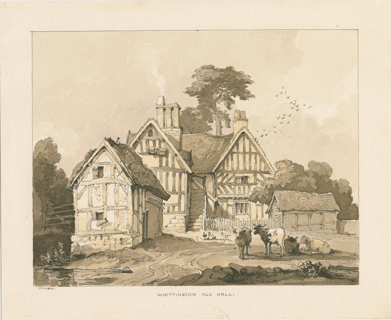 Whittington Hall: rysunek długopisem i praniem autorstwa Thomas Peploe Wood