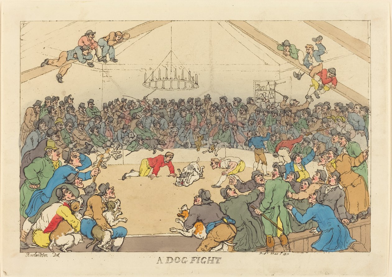 Walka psów autorstwa Thomas Rowlandson