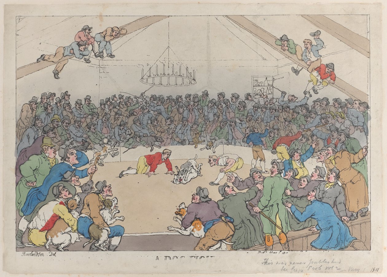 Walka psów, 1 maja 1811, 1 maja 1811. autorstwa Thomas Rowlandson