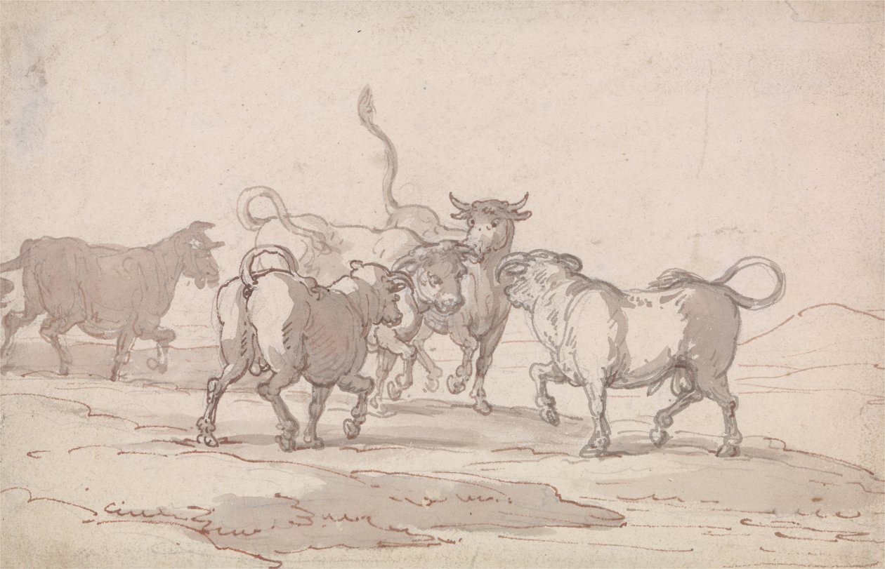 Grupa pięciu byków tuż przed walką autorstwa Thomas Rowlandson