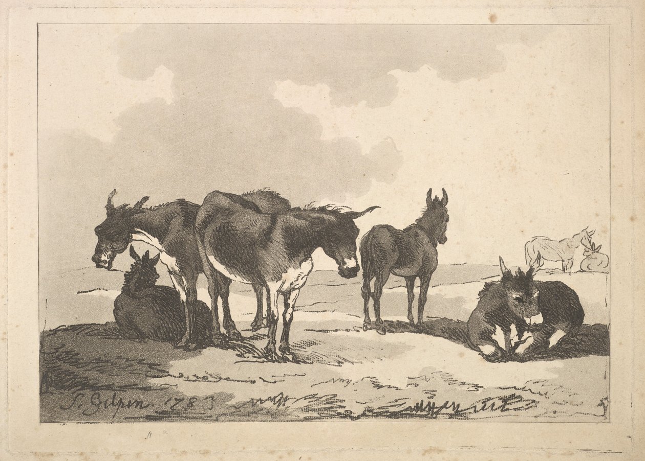 Grupa pięciu osłów, trzech stojących, dwóch leżących, 1783-87. autorstwa Thomas Rowlandson