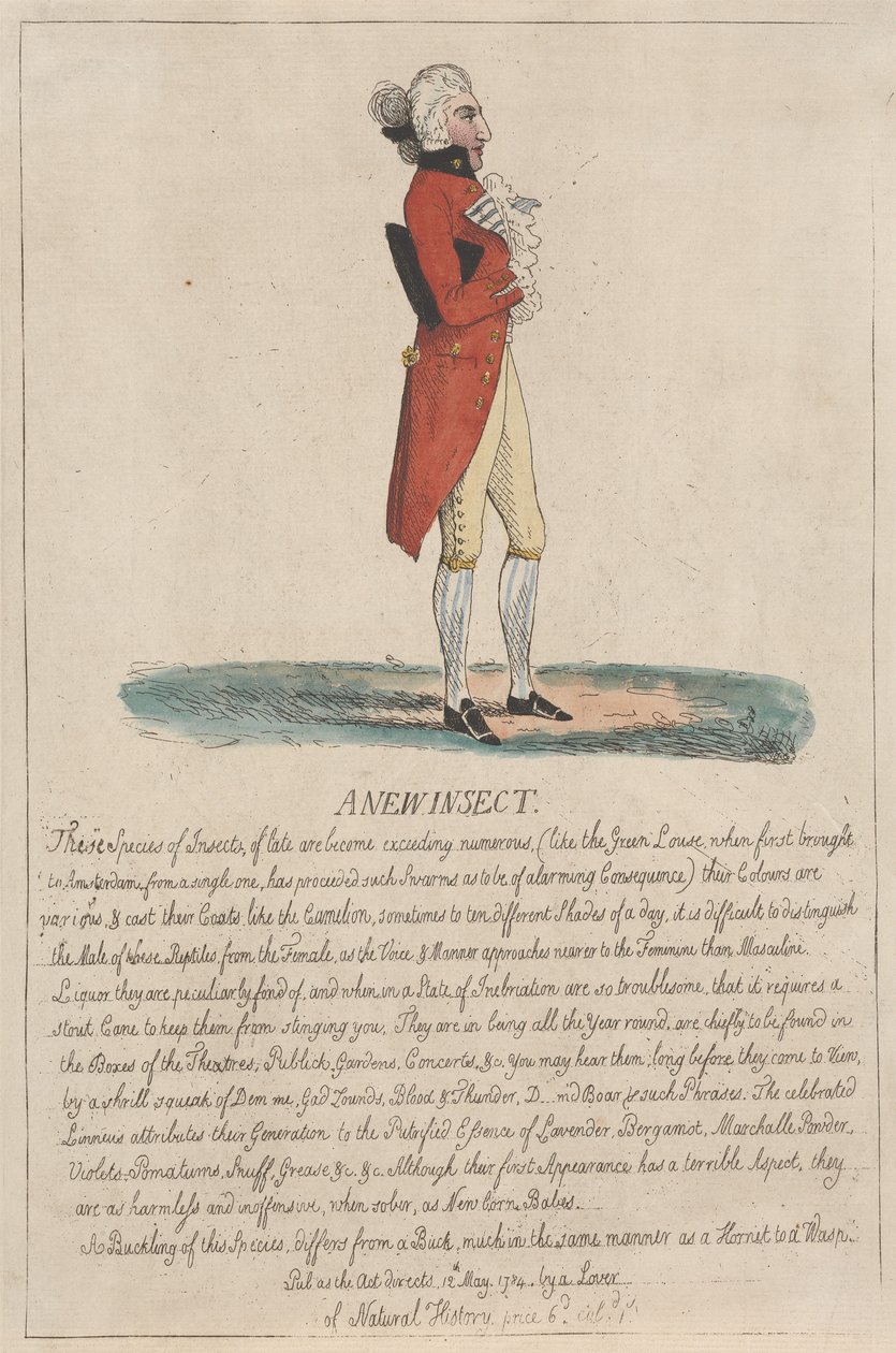 Nowy gatunek owada autorstwa Thomas Rowlandson