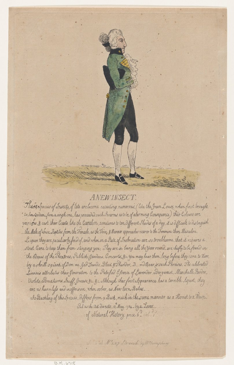 Nowy owad, 12 maja 1784, 12 maja 1784. autorstwa Thomas Rowlandson