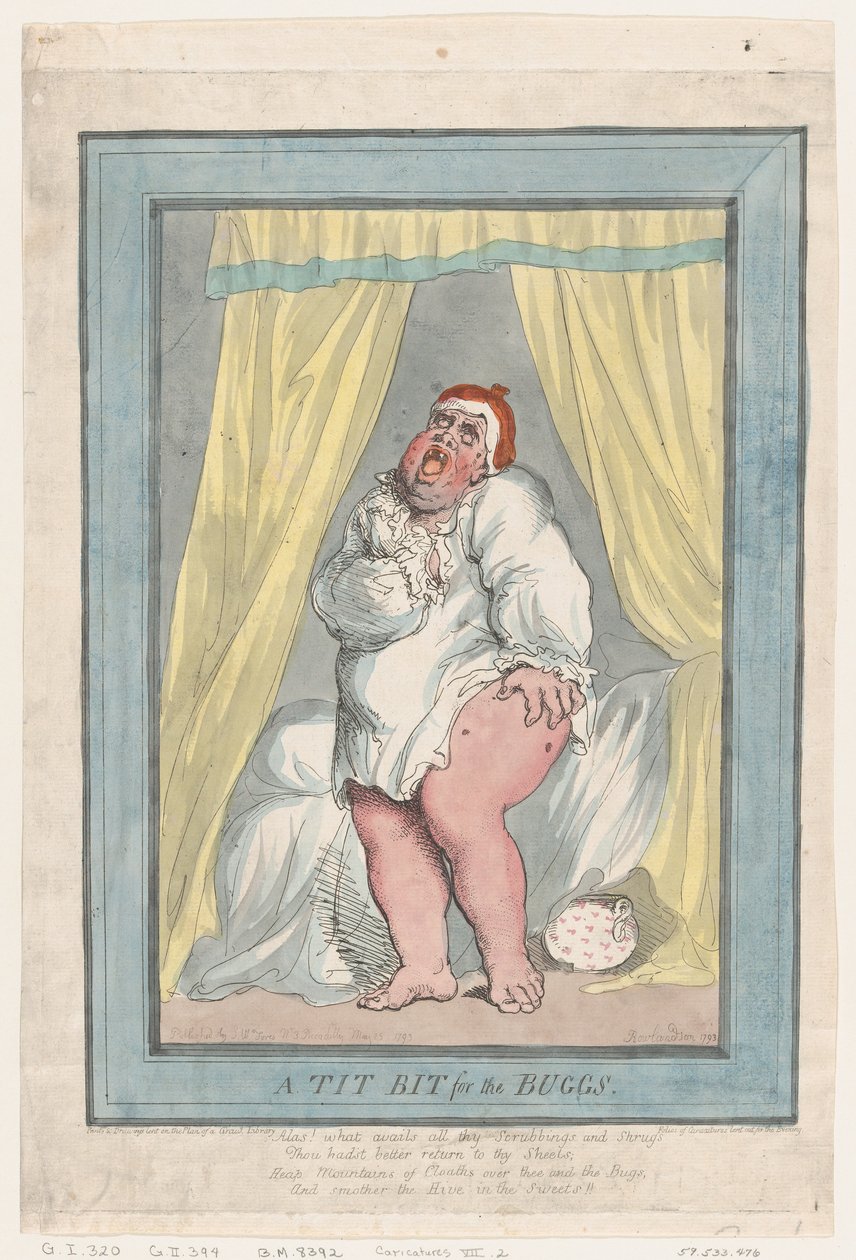 Odrobina drobiu dla robaków, 25 maja 1793 r., 25 maja 1793 r. autorstwa Thomas Rowlandson