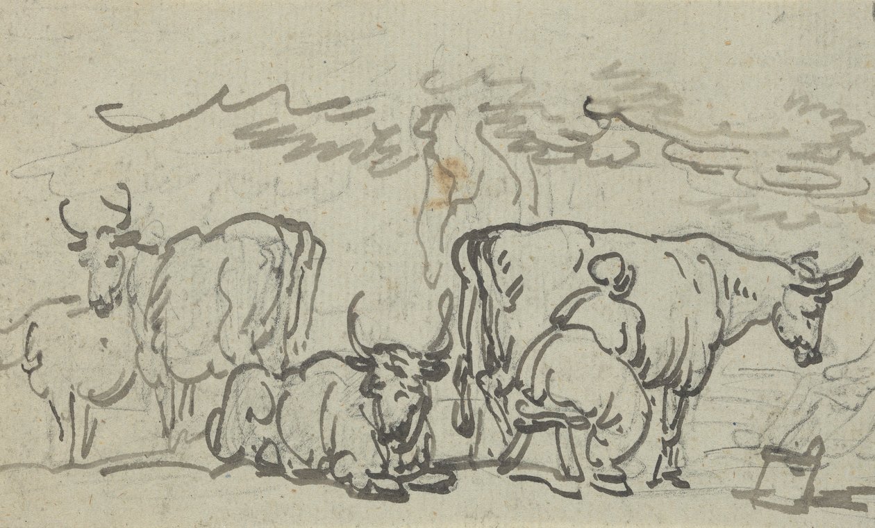 Rysunek albumu autorstwa Thomas Rowlandson
