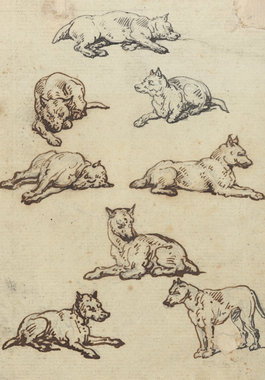 Rysunek z albumu autorstwa Thomas Rowlandson