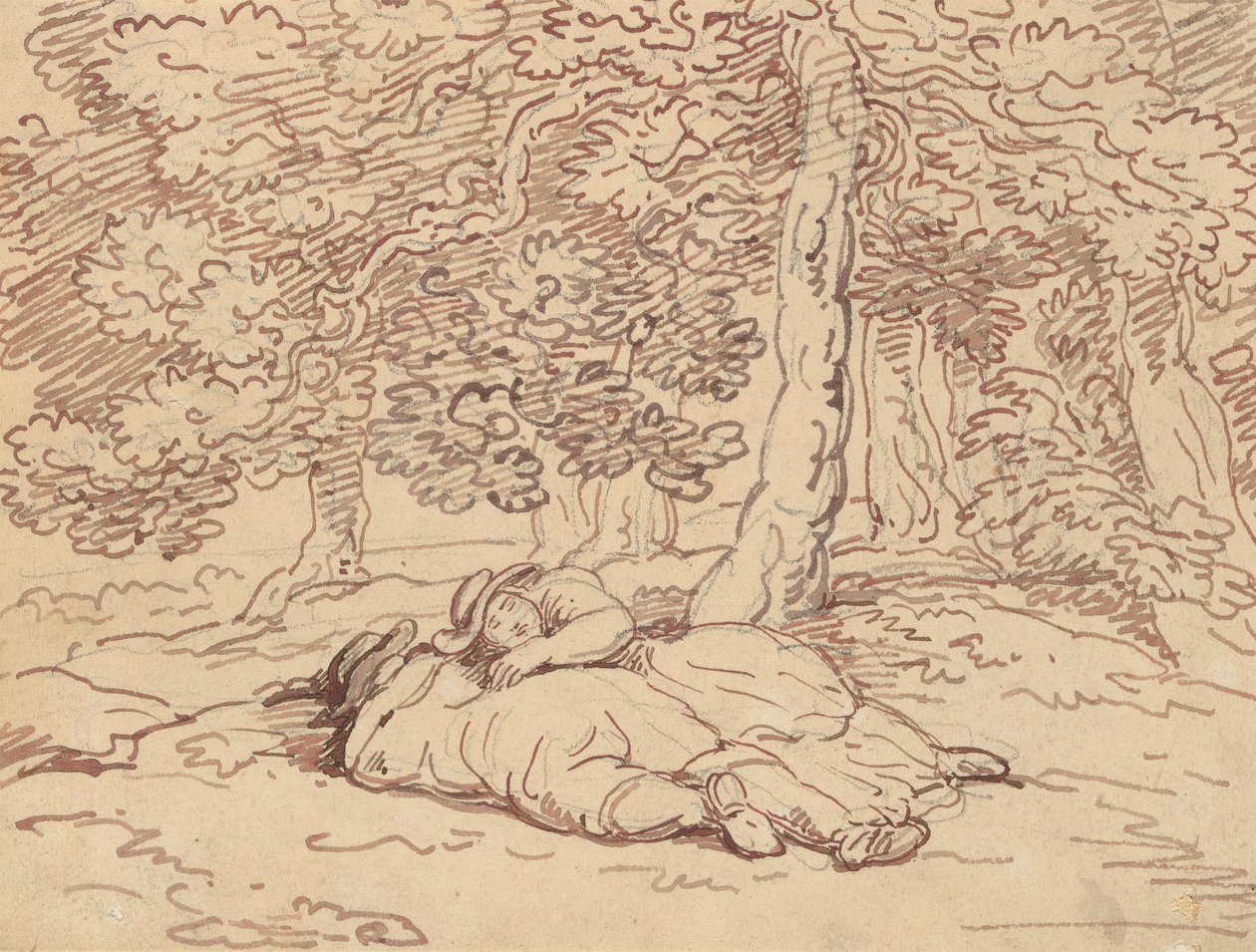Rysunek z albumu autorstwa Thomas Rowlandson