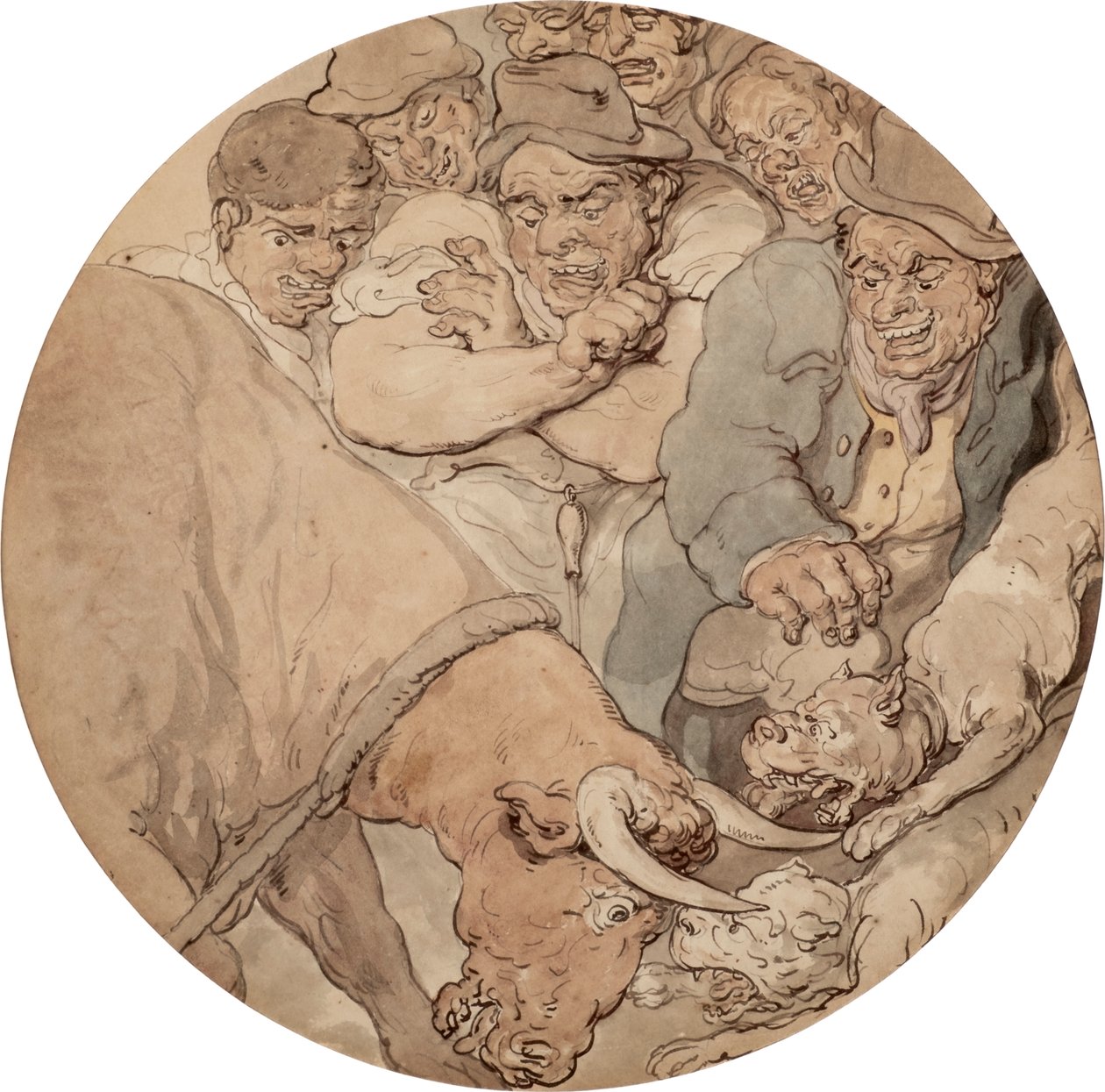 Przynęta na byka 1810 (litografia) autorstwa Thomas Rowlandson