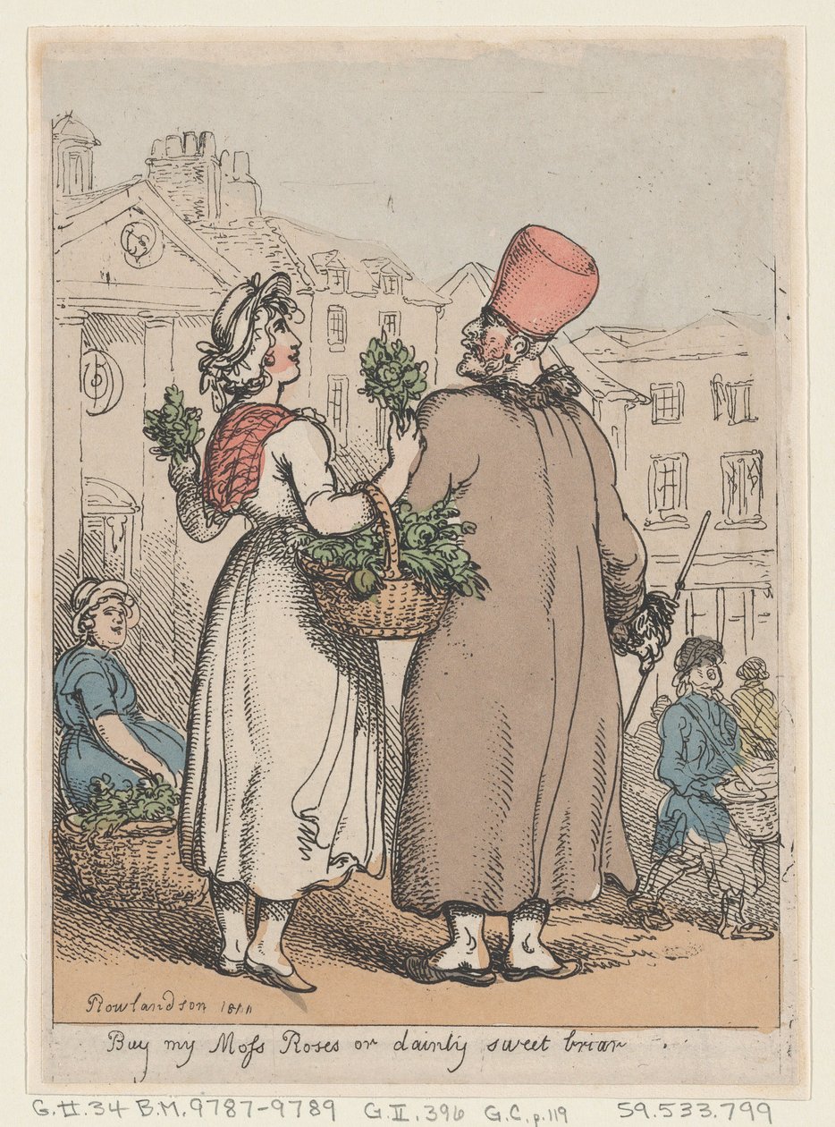 Kup My Moss Roses lub Dainty Sweet wrzośca, 1811., 1811. autorstwa Thomas Rowlandson
