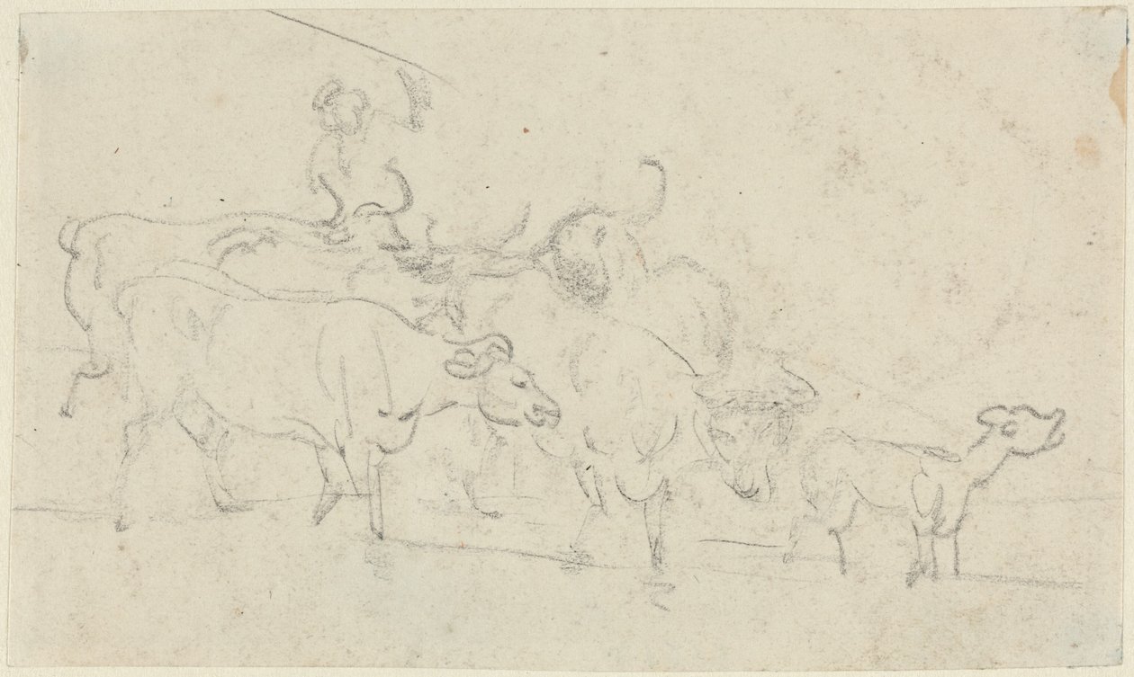 Bydło autorstwa Thomas Rowlandson