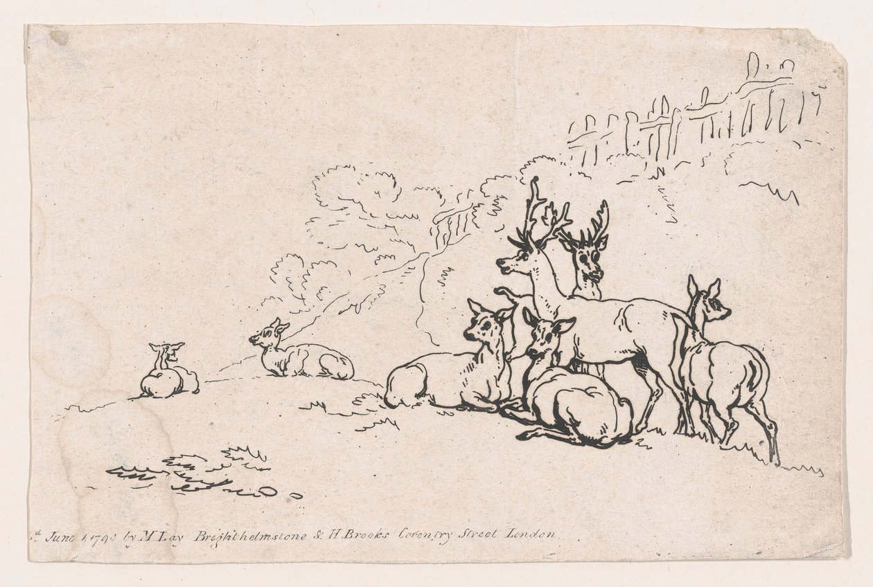 Jeleń z tablicy 3, Kontury postaci, krajobrazy i bydło... na użytek Le..., 1 czerwca 1790. autorstwa Thomas Rowlandson