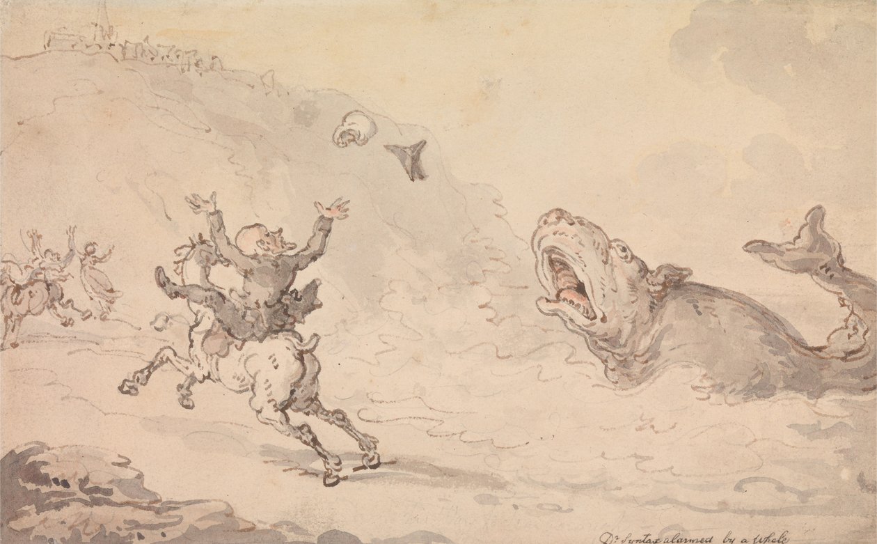 Dr Syntax zaniepokojony wielorybem autorstwa Thomas Rowlandson