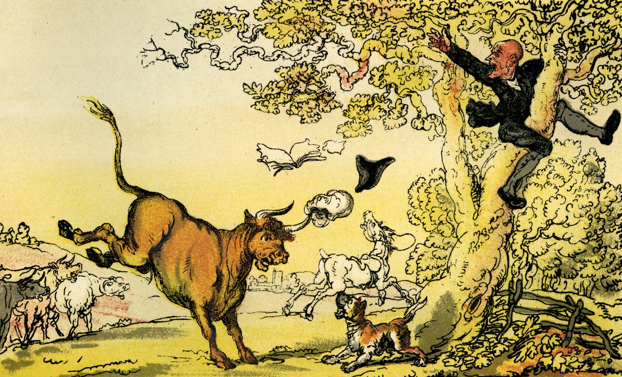 „Dr Syntax ścigany przez byka” autorstwa Thomas Rowlandson