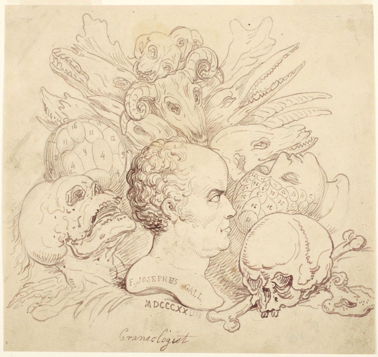 F. Josephus Gall, kraniolog autorstwa Thomas Rowlandson
