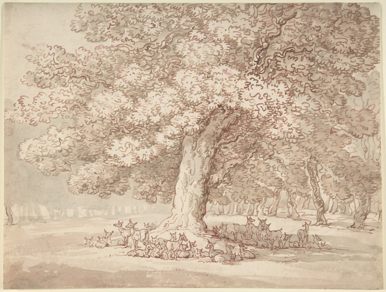 Stado jeleni pod dębem autorstwa Thomas Rowlandson