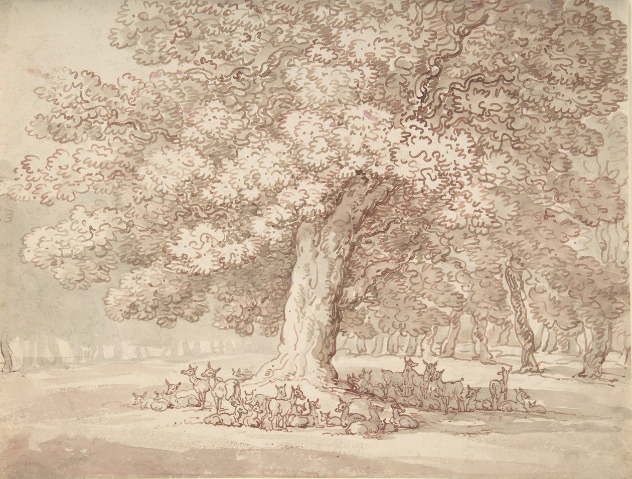 Herd of deer under an oak tree, 1775-1827.    1155927   pl       polish Successfully Translated  Original: The Virgin of the Immaculate Conception Translat: The Virgin of the Immaculate Conception 1219066 pl polish Successfully Translated Original: Portrai autorstwa Thomas Rowlandson