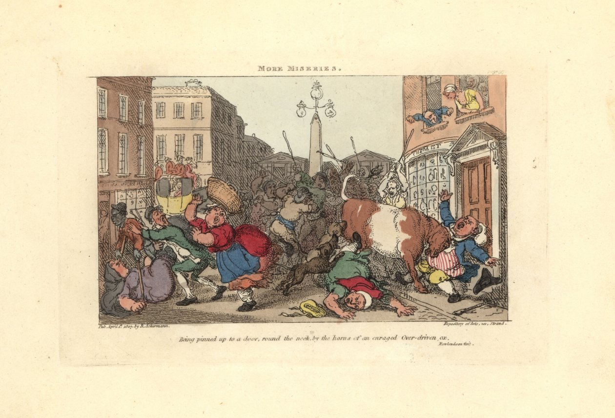 Mężczyzna przyszpilony do drzwi rogami rozwścieczonego wołu. autorstwa Thomas Rowlandson