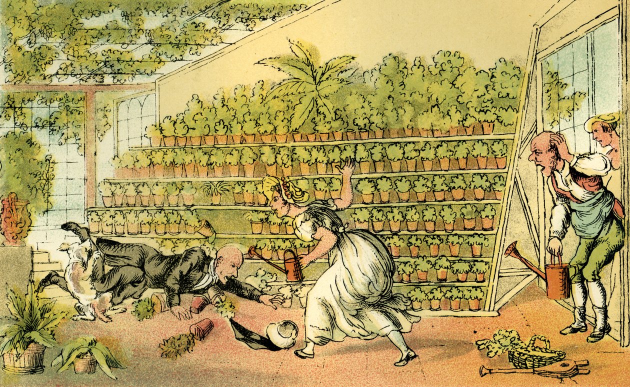 „Nieszczęście w Tulip Hall” autorstwa Thomas Rowlandson