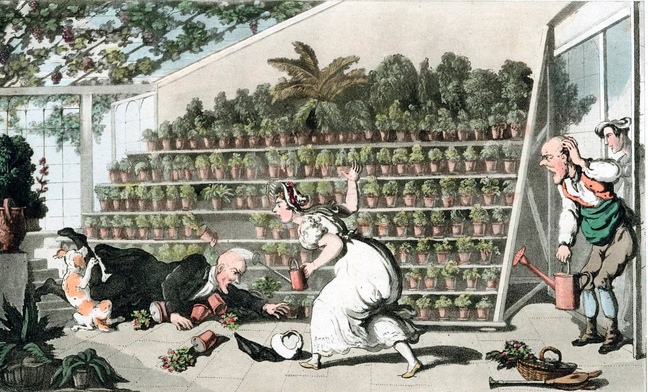 Nieszczęście w Sali Tulipanów, ok. 1816 r. autorstwa Thomas Rowlandson
