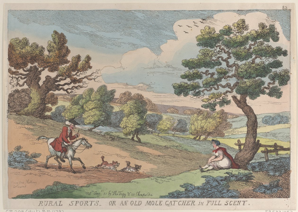 Sporty wiejskie, czyli stary łapacz kretów w pełnym zapachu, 31 sierpnia 1811 r., 31 sierpnia 1811 r. autorstwa Thomas Rowlandson