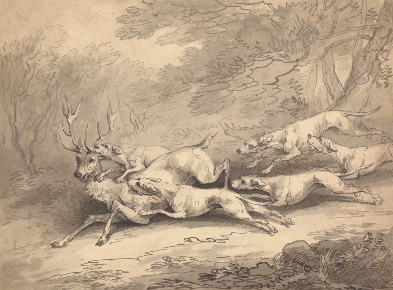 Jeleń powalony przez stado psów autorstwa Thomas Rowlandson