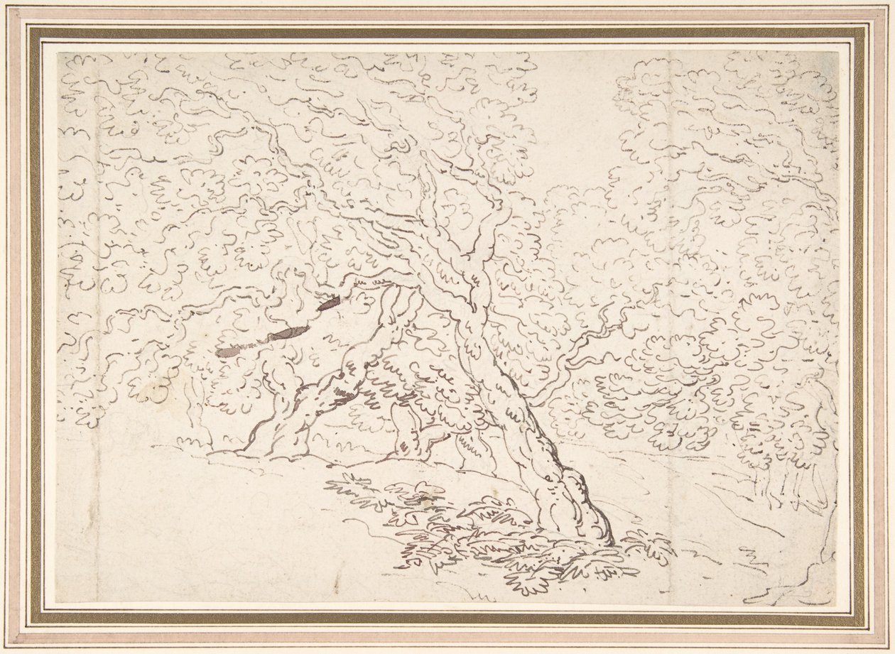 Badania nad drzewami autorstwa Thomas Rowlandson