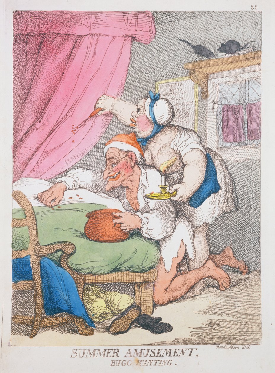 Letnia rozrywka. Polowanie na robaki autorstwa Thomas Rowlandson