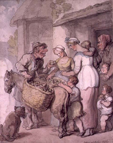Sprzedawca jabłek: pieczenie i gotowanie jabłek autorstwa Thomas Rowlandson