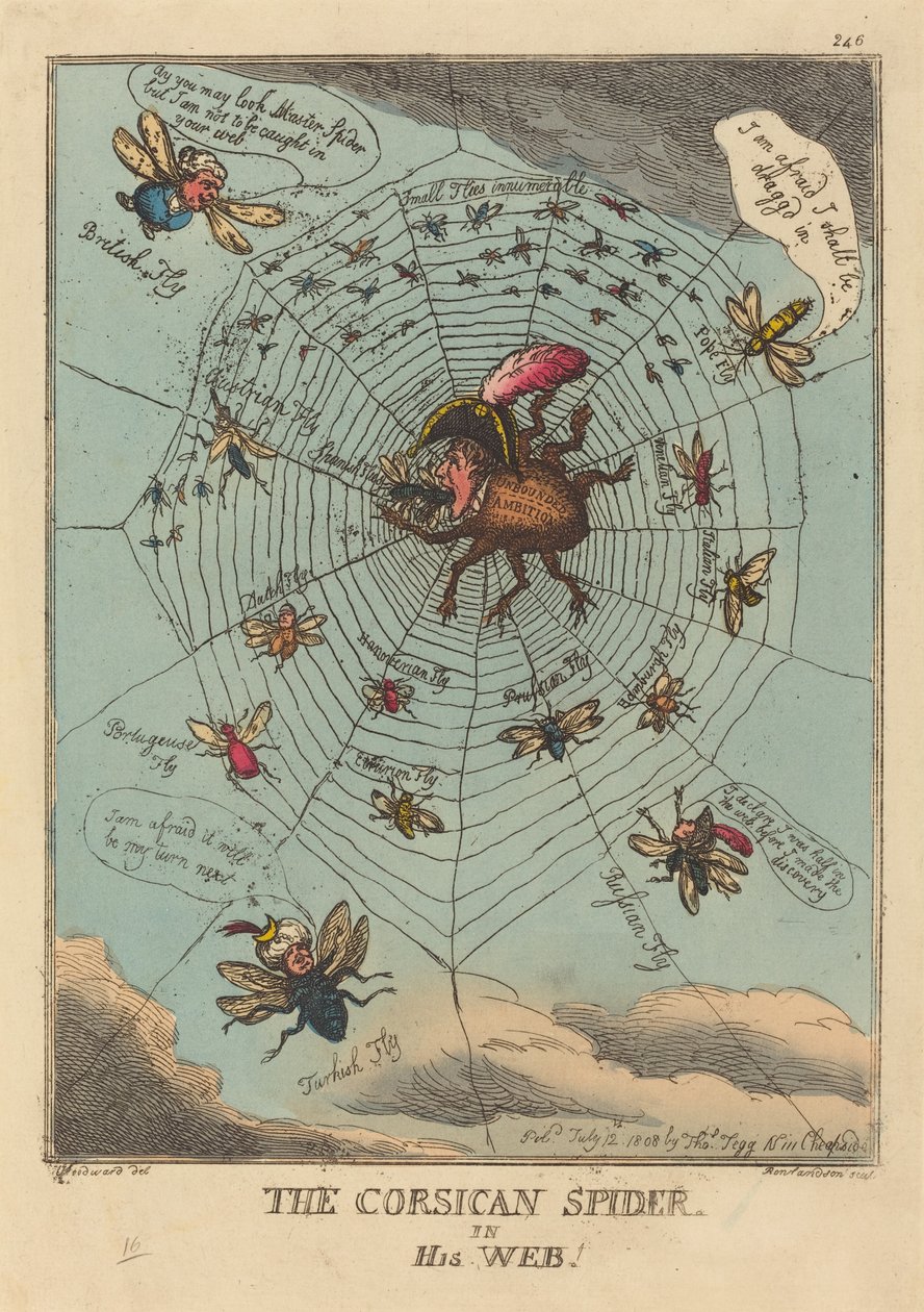 Korsykański Pająk w swojej sieci autorstwa Thomas Rowlandson