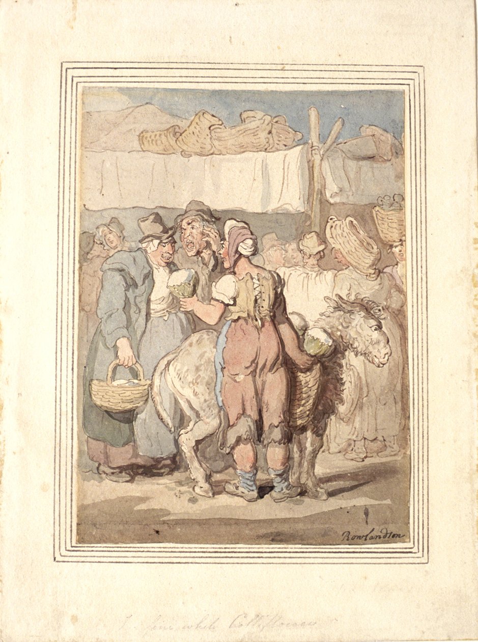Piękny biały kalafior autorstwa Thomas Rowlandson