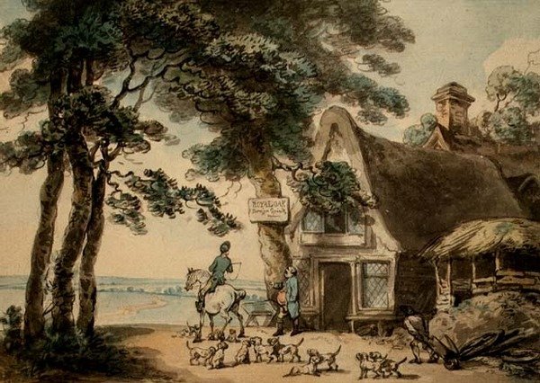 Dąb Królewski (akwarela, długopis i atrament) autorstwa Thomas Rowlandson