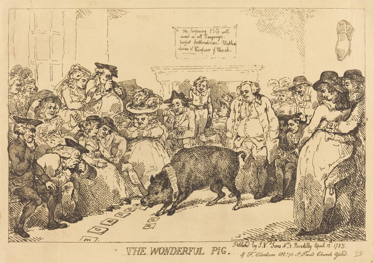 Cudowna świnia autorstwa Thomas Rowlandson