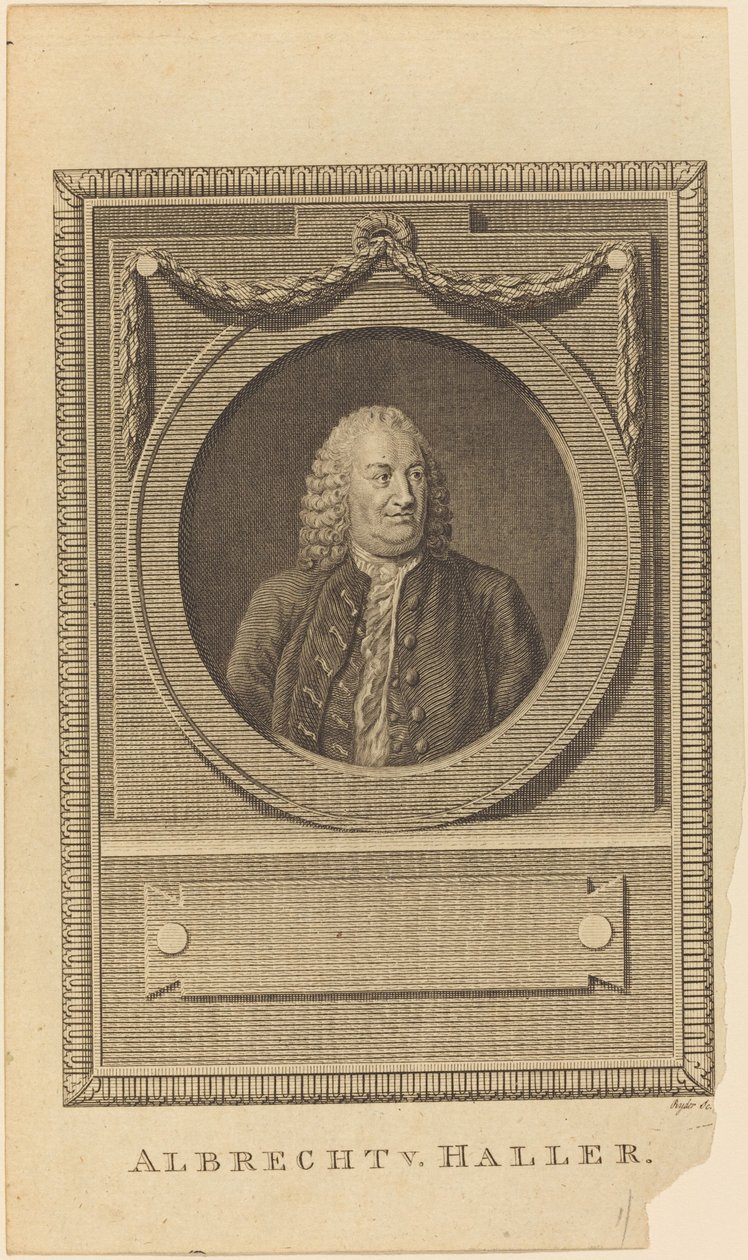 Albrecht V. Haller autorstwa Thomas Ryder