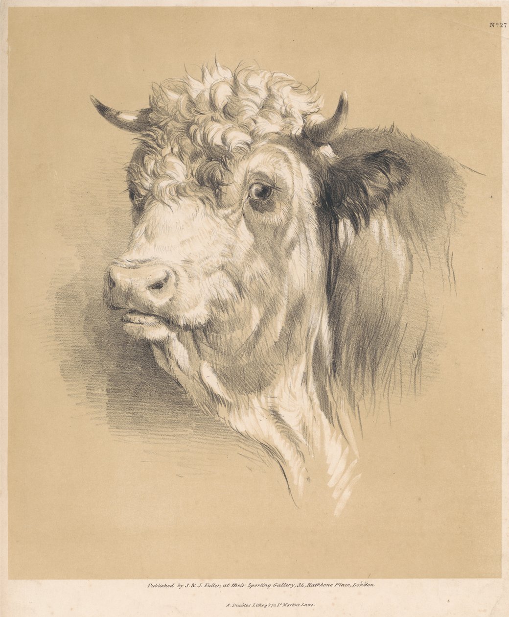 Krowa, nr 27 autorstwa Thomas Sidney Cooper