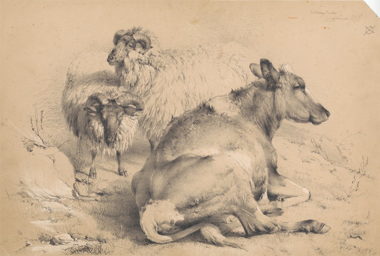 Krowa i dwa barany autorstwa Thomas Sidney Cooper