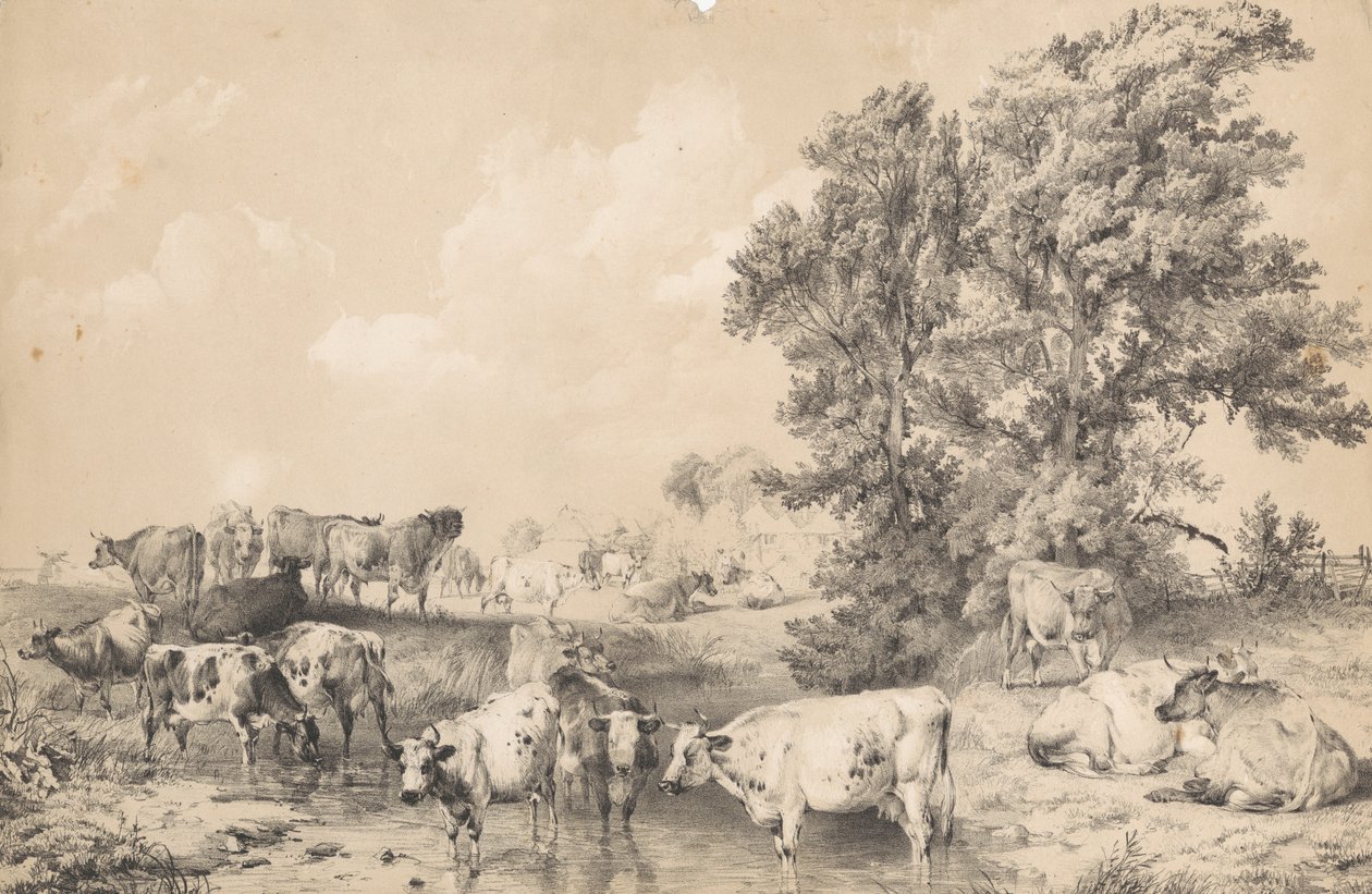 Stado bydła na brzegu rzeki autorstwa Thomas Sidney Cooper