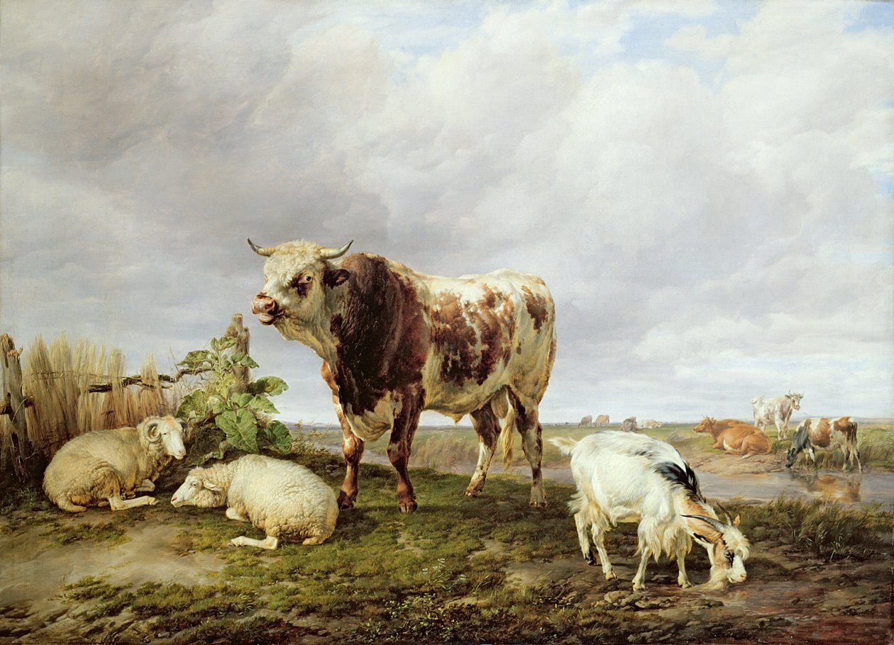 Bydło na łące autorstwa Thomas Sidney Cooper