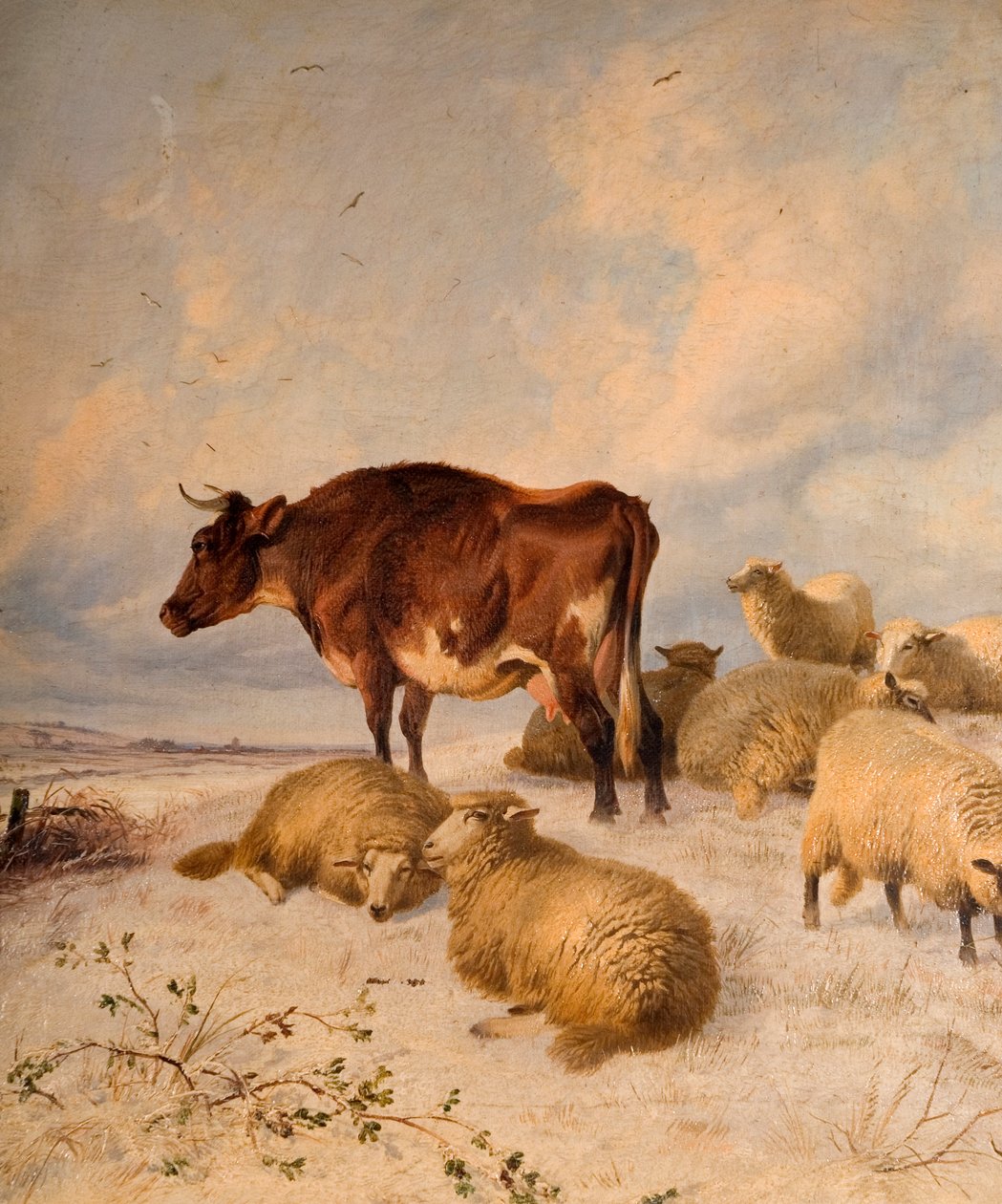 Krowy i owce w Snowscape, 1864 autorstwa Thomas Sidney Cooper