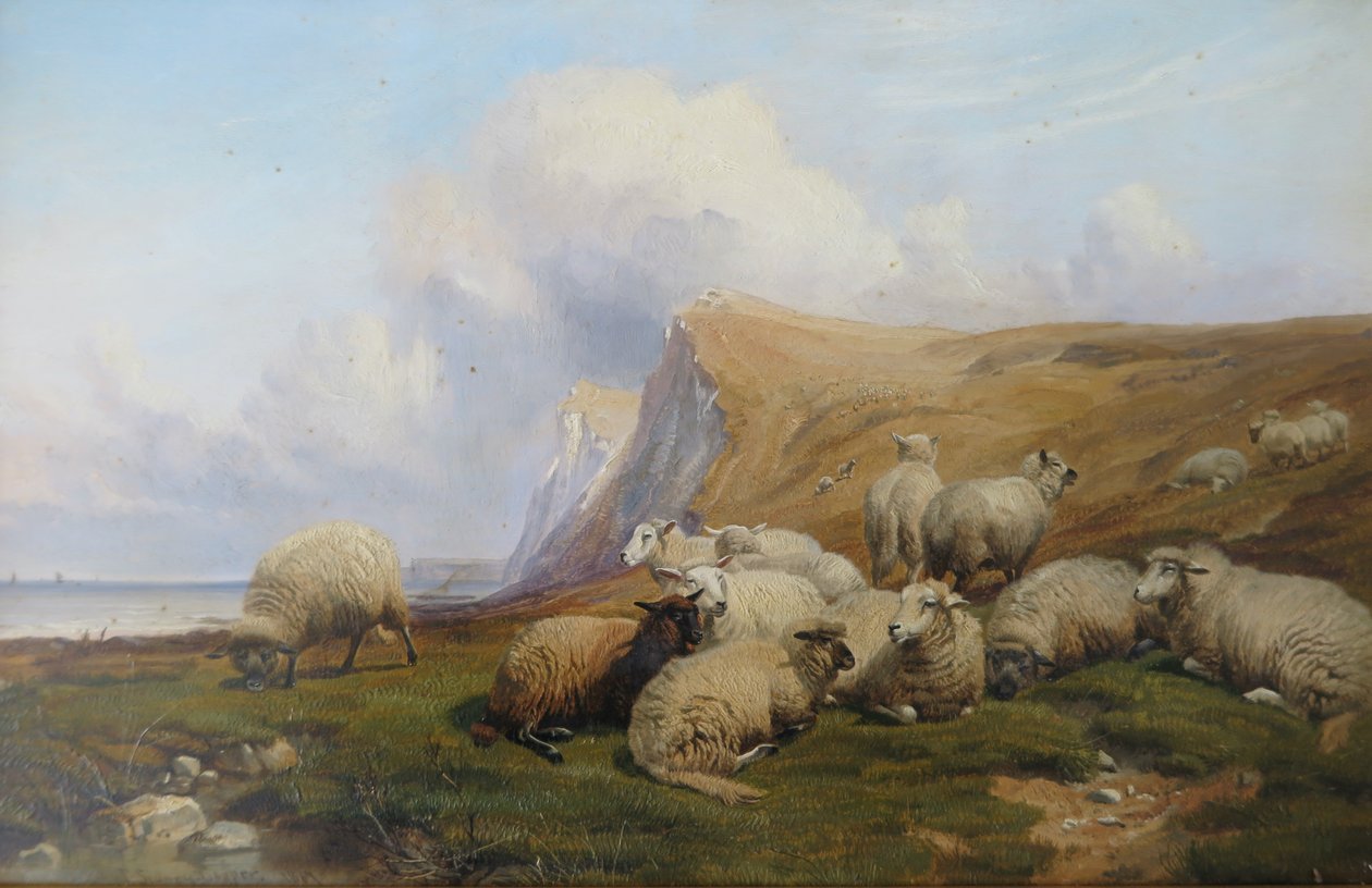 Shakespeare Cliff, Kent: Owce na przybrzeżnych pastwiskach autorstwa Thomas Sidney Cooper